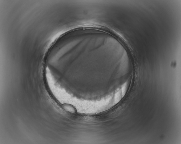 X0000115411463200912011329