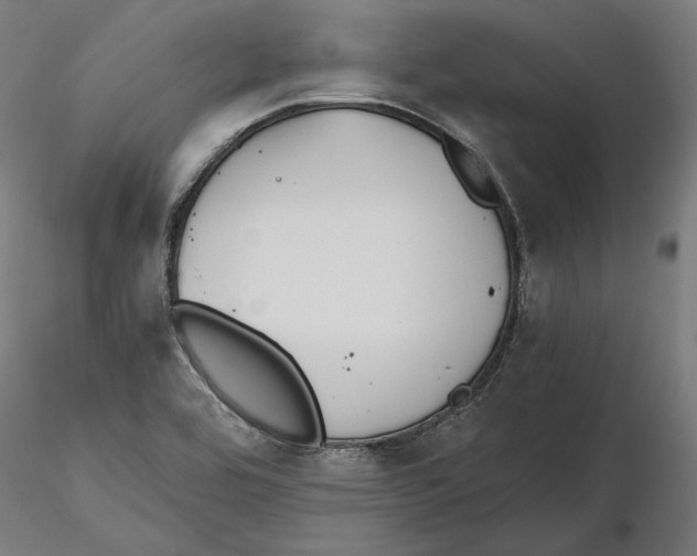 X0000115411464200912011329