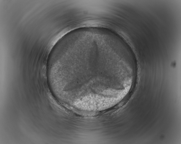 X0000115411465200912011329