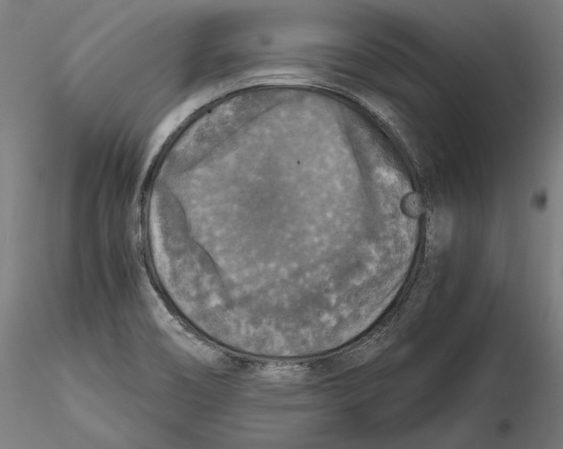 X0000115411466200912011329