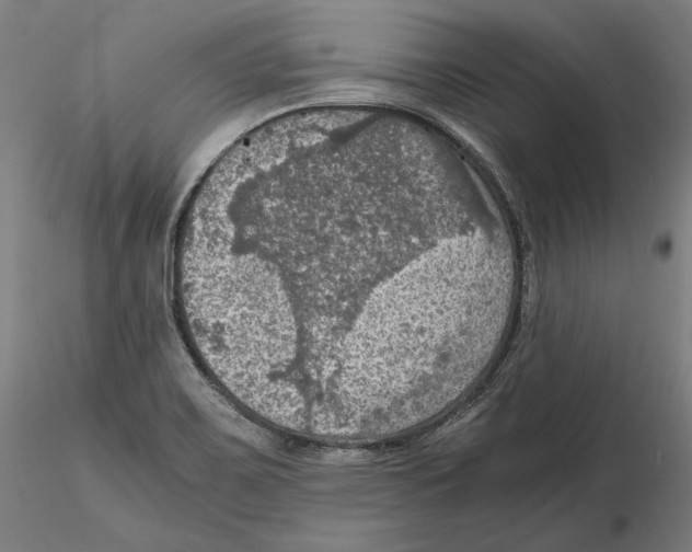 X0000115411467200912011329