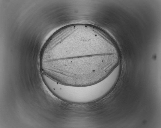 X0000115411468200912011329