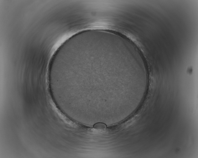 X0000115411469200912011328