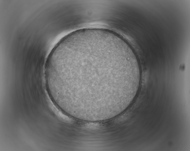 X0000115411470200912011328