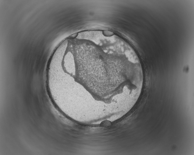 X0000115411471200912011328