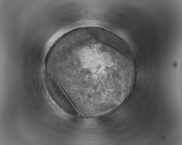 X0000115411472200912011328