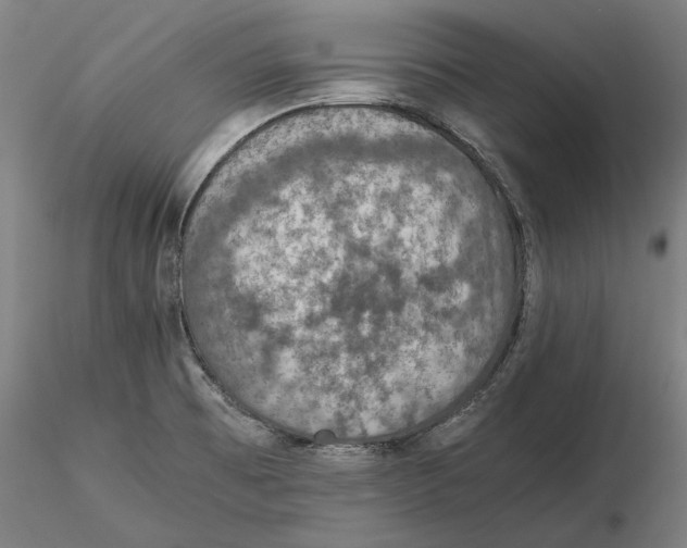 X0000115411473200912011328