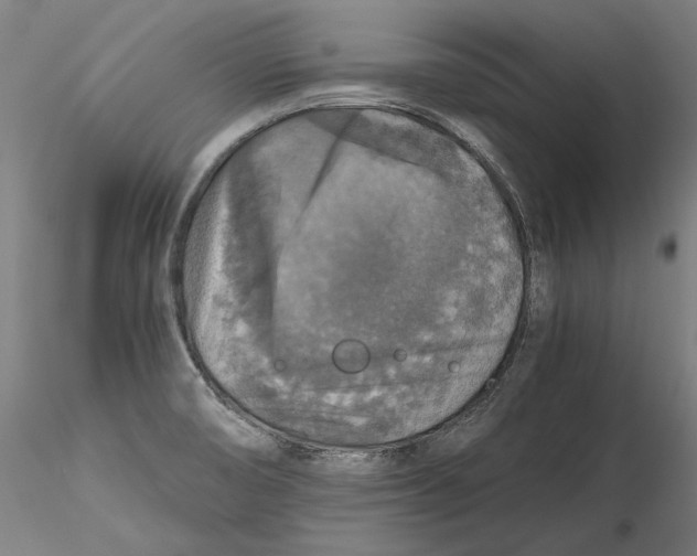 X0000115411474200912011328