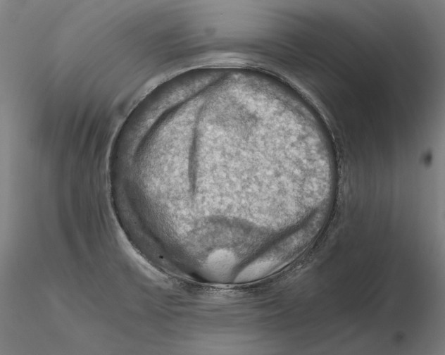 X0000115411475200912011328