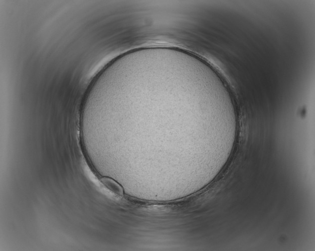 X0000115411476200912011328