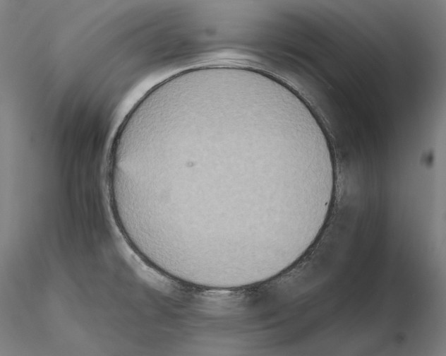 X0000115411478200912011328