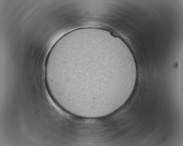 X0000115411479200912011328