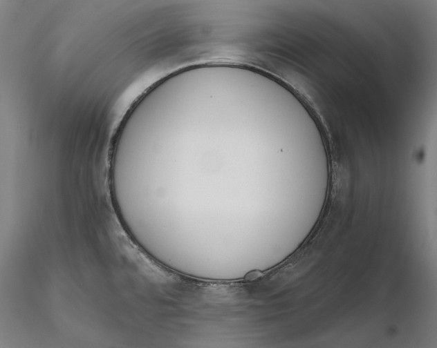 X0000115411480200912011328