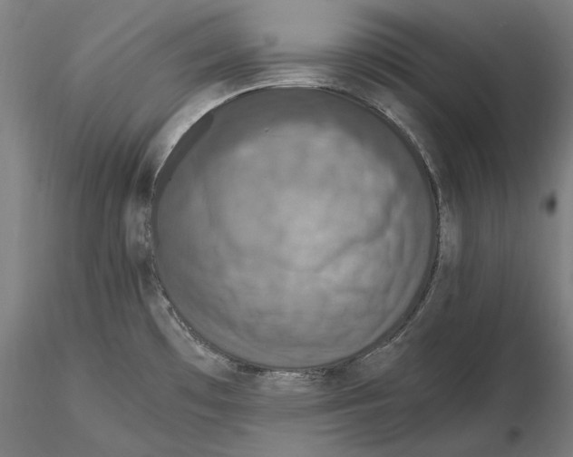 X0000115411481200912011328