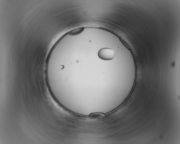 X0000115411484200912011328