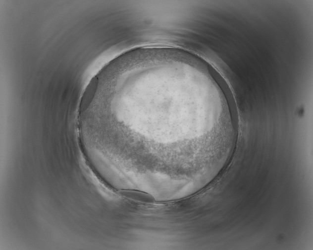 X0000115411485200912011328