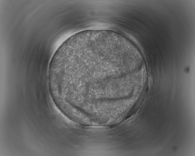 X0000115411487200912011328