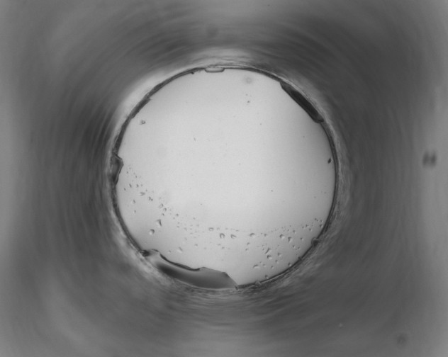 X0000115411488200912011328