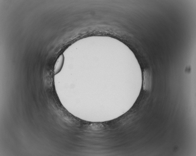 X0000115411491200912011328