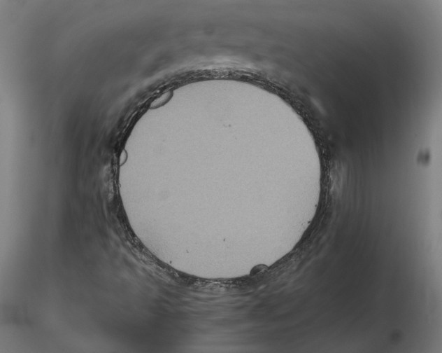 X0000115411493200912011328