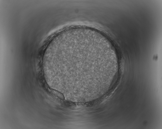 X0000115411494200912011328