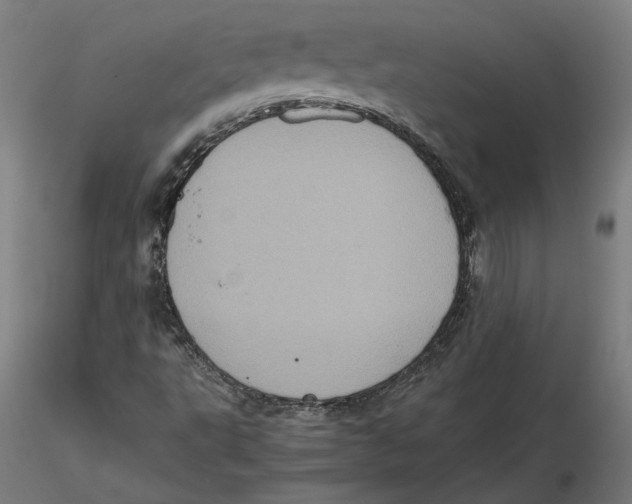 X0000115411495200912011328