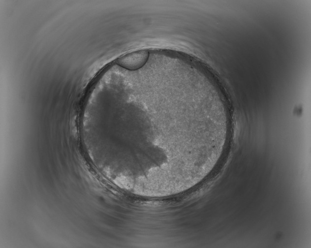 X0000115411497200912011328