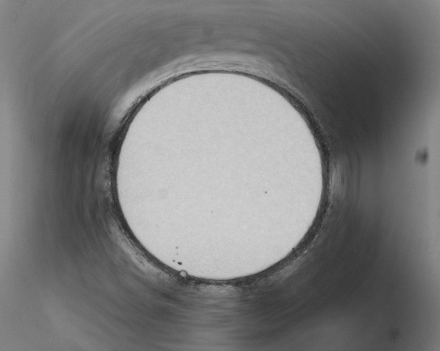 X0000115411498200912011328