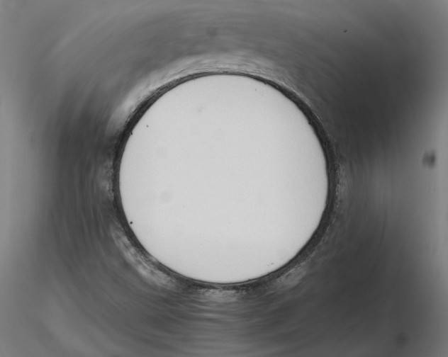 X0000115411499200912011328