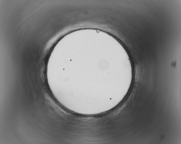 X0000115411502200912011328