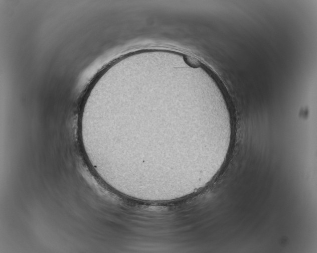 X0000115411503200912011328