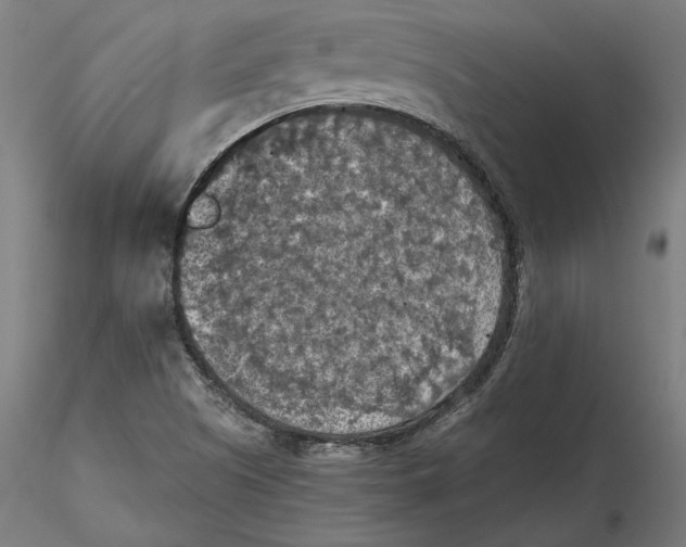 X0000115411505200912011328