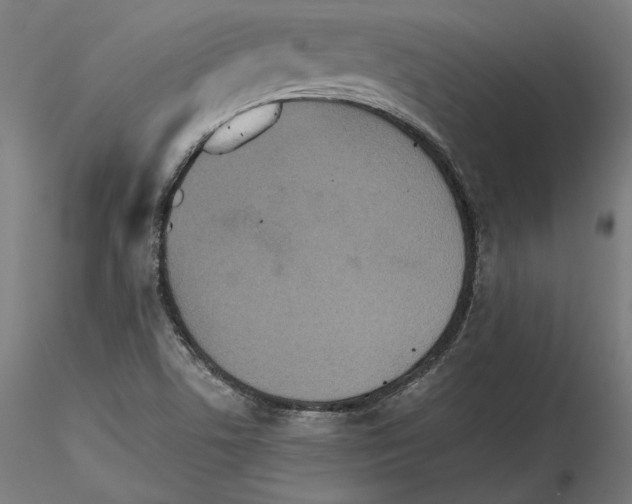 X0000115411506200912011328