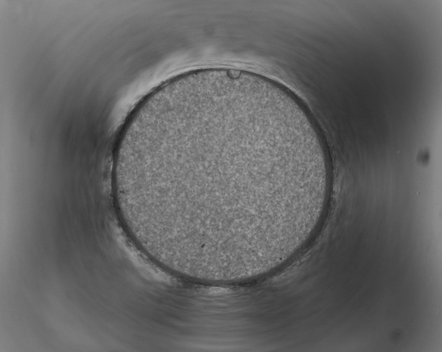 X0000115411507200912011328