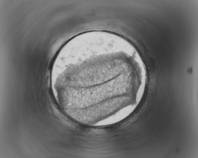 X0000115411509200912011328