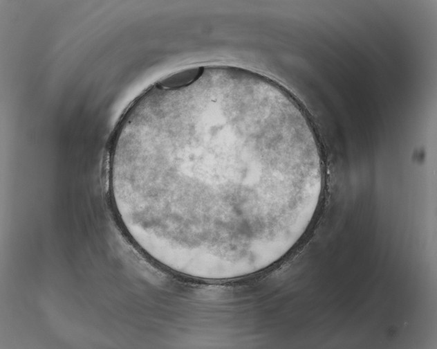 X0000115411510200912011328