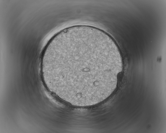 X0000115411511200912011328