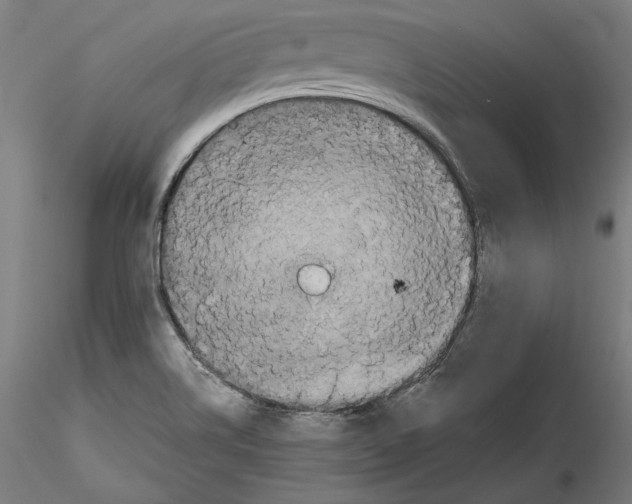 X0000115411514200912011328