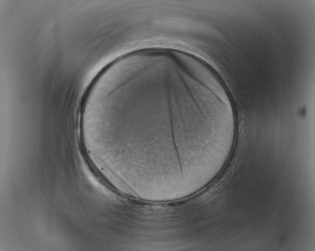 X0000115411515200912011328