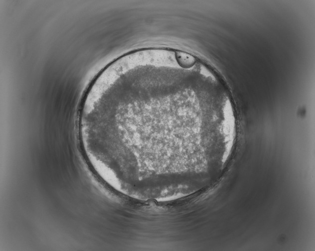 X0000115411517200912011328