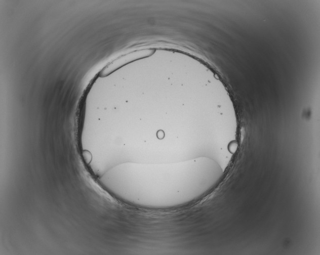 X0000115411518200912011328