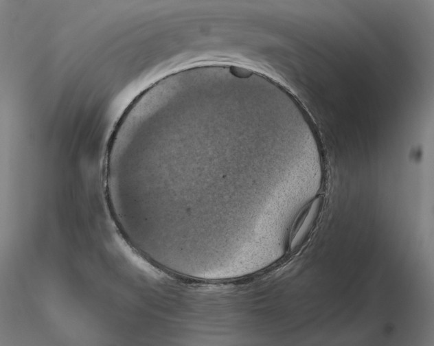 X0000115411519200912011328