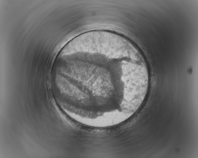 X0000115411521200912011328