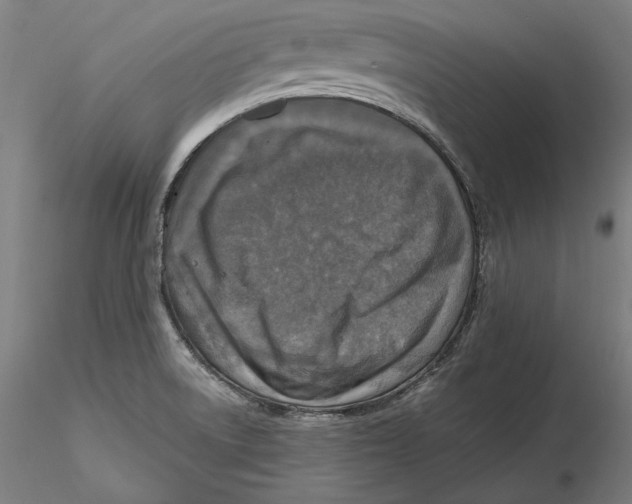 X0000115411522200912011328