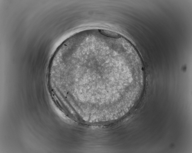 X0000115411523200912011328