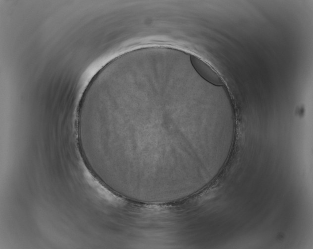 X0000115411527200912011328