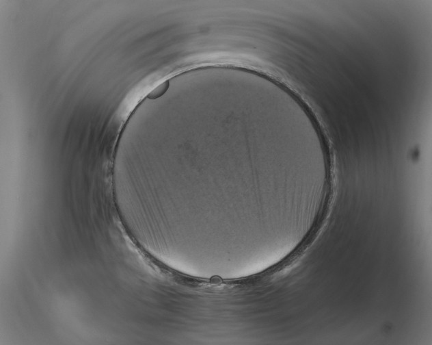 X0000115411529200912011328