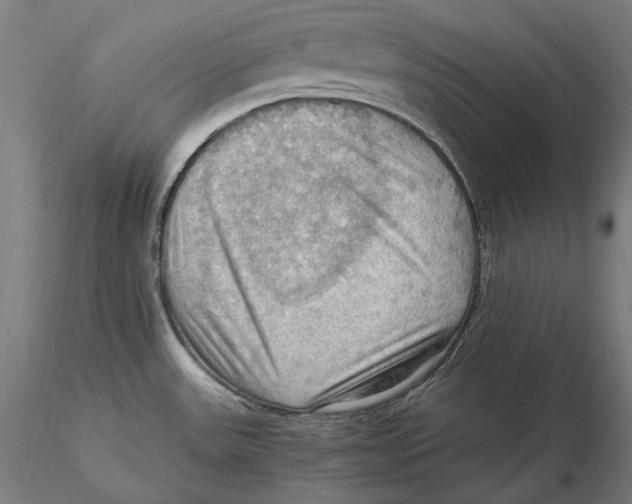 X0000115411531200912011328