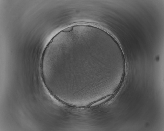 X0000115411533200912011328