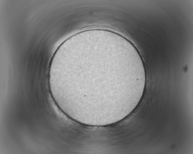 X0000115411534200912011328